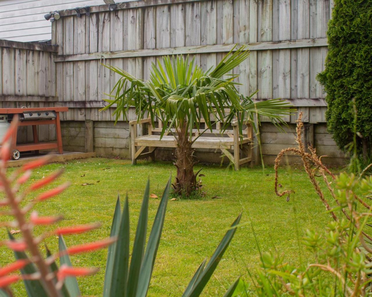 Palm Motel Waihi Buitenkant foto