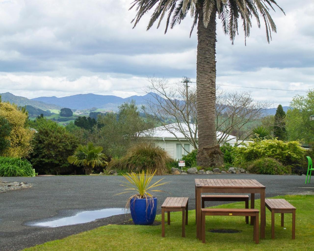 Palm Motel Waihi Buitenkant foto